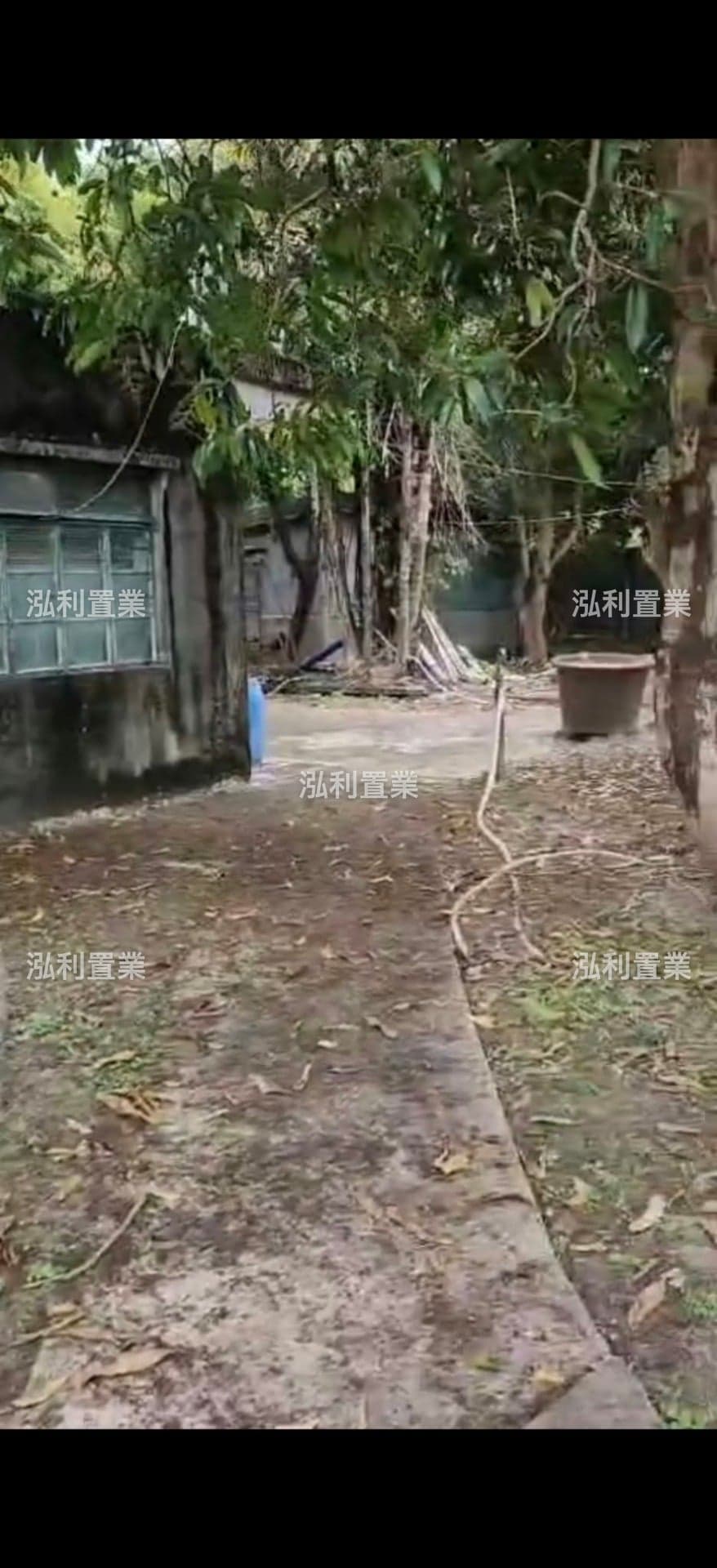 錦田農地 相片